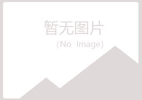 哈密夏岚化学有限公司